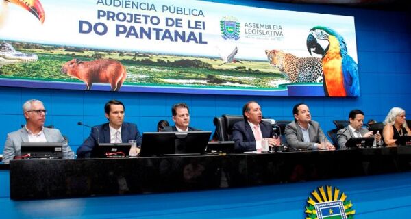 Governo prevê aporte inicial de até R$ 50 milhões para Fundo do Pantanal