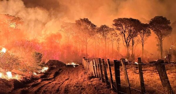 O fogo destrói o Pantanal e queima a verdade
