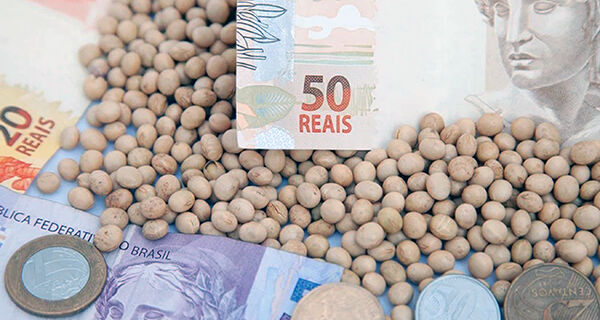Veja como ficaram os preços da oleaginosa em dia de Chicago e dólar estáveis