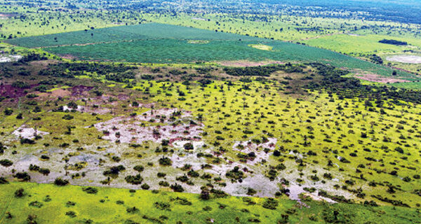 Com dados velhos, Cadastro Ambiental Rural precisa de 'recall' e até call-center