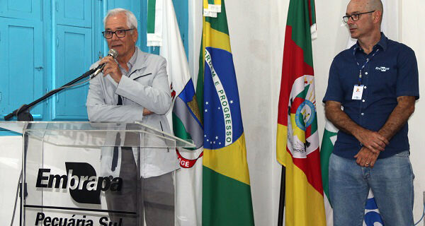Ovinocultura de corte é tema de seminário realizado na Embrapa Pecuária Sul