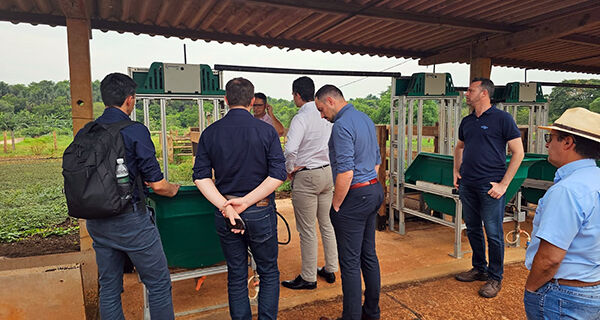 Grupo francês Roullier e Embrapa Gado de Corte projetam ampliar parceria