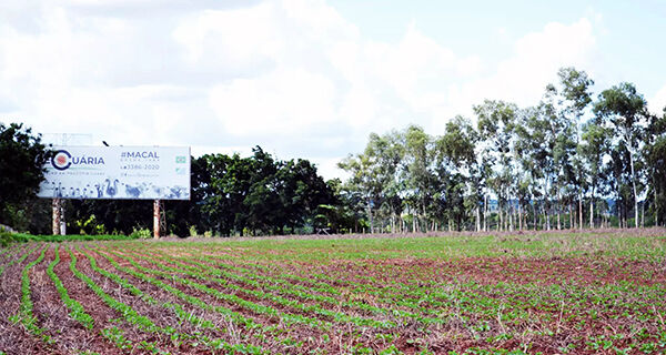 Soja em MS entra na reta final com 4,1 milhões de hectares plantados