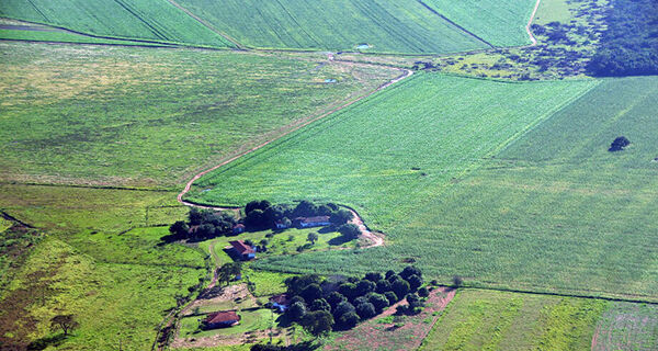 Produtores rurais de Mato Grosso do Sul devem mais de R$ 500 milhões