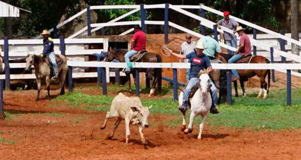 Disputa raiz, laço comprido une fãs e laçadores em dois dias de prova