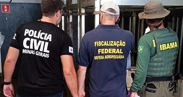 Mapa, Ibama e Polícia Civil de MG buscam por agrotóxicos roubado em Goiás