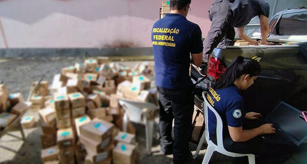 Mais de 7 mil frascos de produto de uso veterinário à base de cetamina são apreendidos