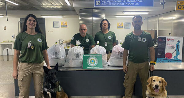 Cães farejadores do Mapa flagram produtos irregulares no aeroporto de Guarulhos