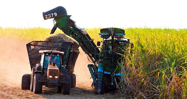 Usinas de etanol batem recorde de produção por meio de incentivos aos biocombustíveis