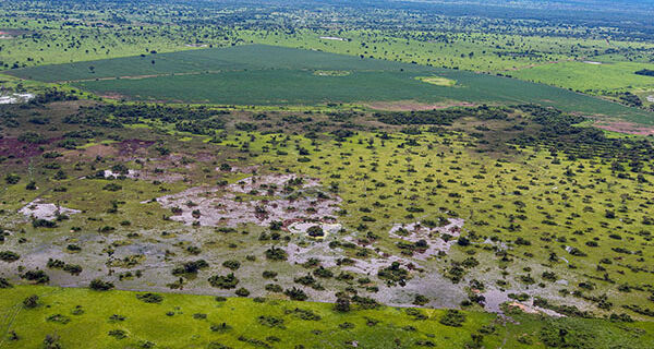 Pantanal deve ter cheias abaixo da média em 2024 e cenário é de alerta