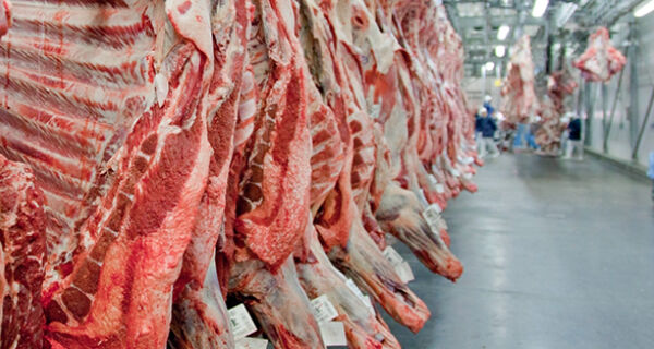 Exportações brasileiras de carne bovina em 2023 tiveram queda de 17% na receita