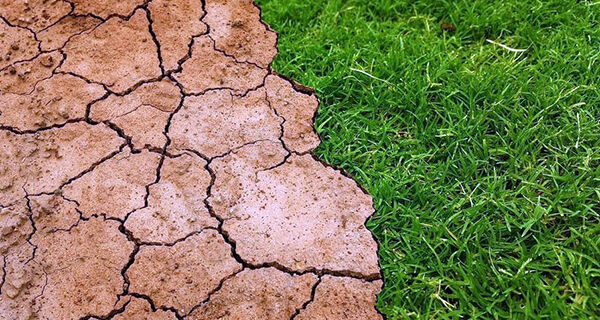 Analistas do NOAA verificam se há possibilidade de La Niña neste ano