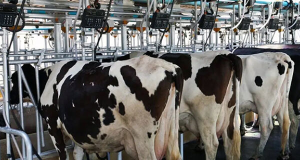 Comissão aprova proibição de benefício fiscal para empresas que usam leite importado