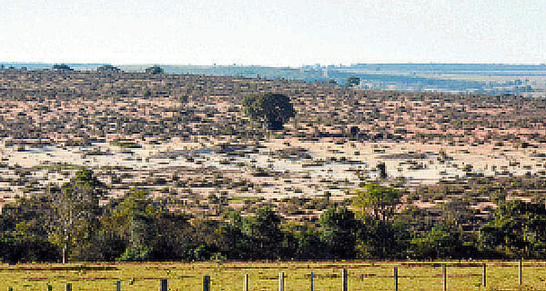 MS tem 4,3 milhões de hectares de área degradada, a 3ª maior do País