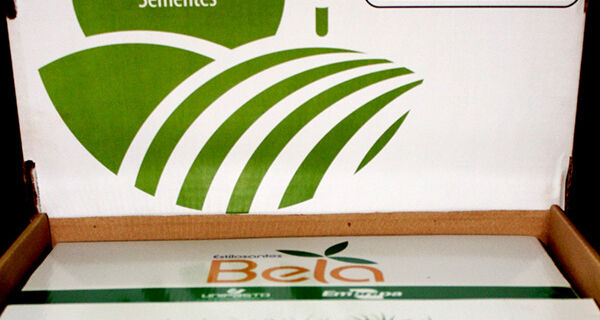 Kit Agrostológico facilita educação no campo em MS e vários estados do Brasil