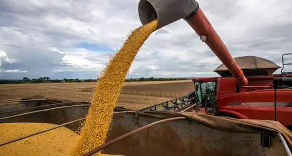 Colheita da soja em MS avança com bom tempo e chega a 213 mil hectares