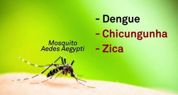 Acrissul sedia palestra sobre combate ao mosquito da dengue na sexta-feira