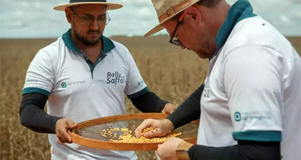 Rally da Safra derruba produtividade da soja em MS para 57 sacas por hectare