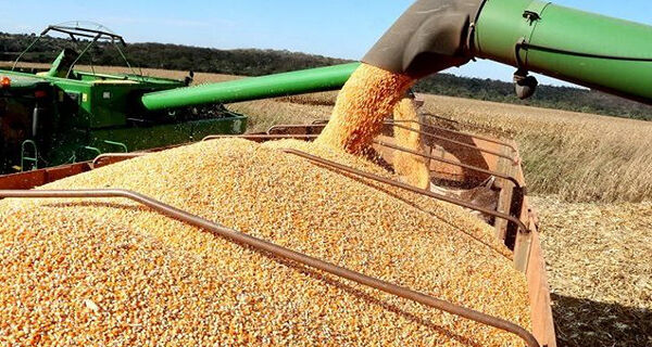 Produção agrícola total do Estado deverá superar 106,5 milhões de toneladas neste ano