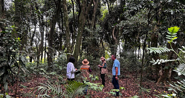 Itaipu e Embrapa iniciam o mais completo inventário florestal já realizado por uma hidrelétrica