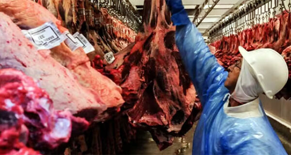 China habilita 38 frigoríficos brasileiros para exportar carne
