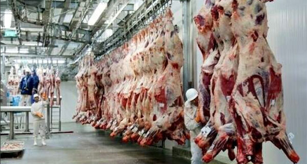MS tem 11 dos 38 frigoríficos habilitados para exportar carnes à China