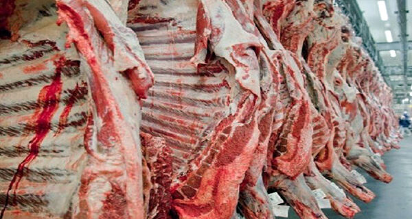 Medida anunciada pela China permite melhoria de preço interno da carne bovina em MS