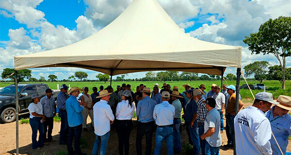 Semadesc e Agraer participam de dia de campo sobre manejo da pecuária em fazenda de Rio Verde