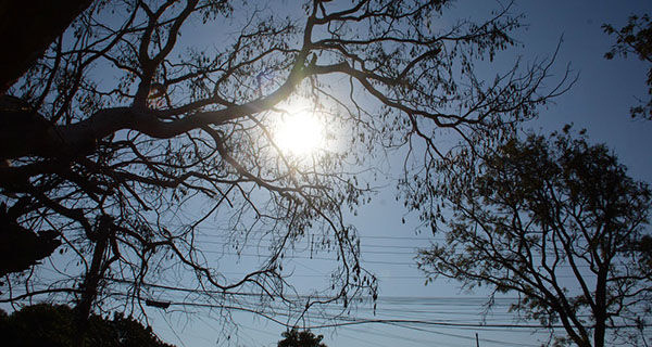 Meteorologia prevê mais três meses de calor acima da média em Mato Grosso do Sul