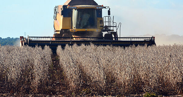 Quebra da safra de soja de Mato Grosso do Sul é estimada em R$ 4 bilhões