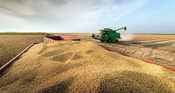 Mato Grosso do Sul teve a maior queda de produção de grãos do Brasil