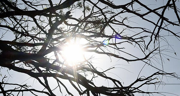 Temperaturas acima da média e tempo seco são destaques na previsão desta terça-feira