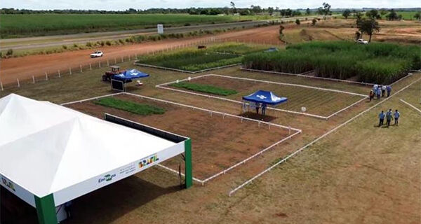 Mato Grosso do Sul destaca-se como polo de bioenergia e inovação