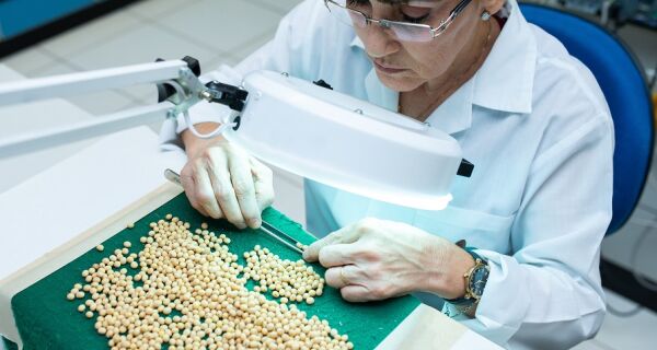 Curso sobre vigor de sementes em soja refina controle de qualidade