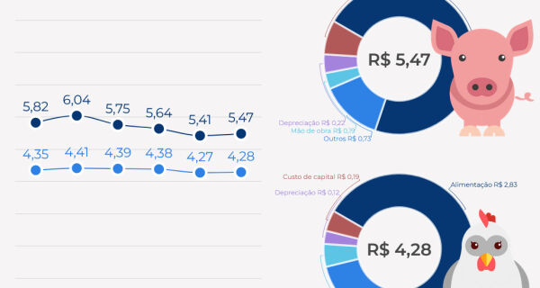 Custos de produção de frangos de corte e de suínos têm leve alta em abril
