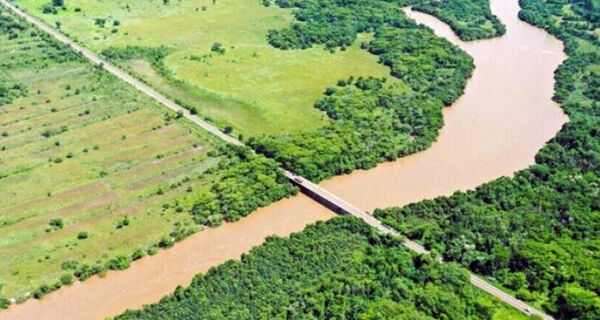 Obras da Arauco devem gerar 12 mil empregos em Mato Grosso do Sul