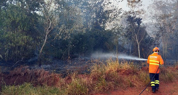 Corpo de Bombeiros combate incêndio florestal na região de Itaquiraí