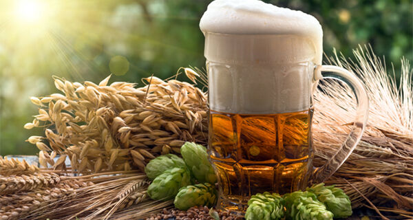 Com 1.847 cervejarias registradas no Brasil, setor cresce 6,8% em 2023