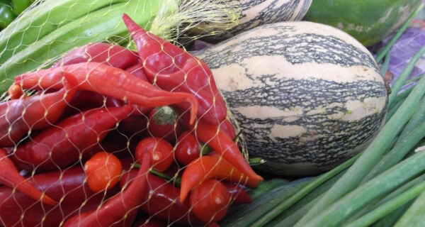 Embrapa Pantanal recebe "Feira de Produtos em Transição Agroecológica" nesta quarta