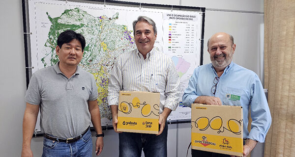 Mato Grosso do Sul pode se tornar um dos maiores produtores de ovos do País