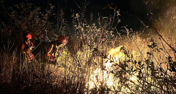 Combate aos incêndios no Pantanal de MS avança pela noite

