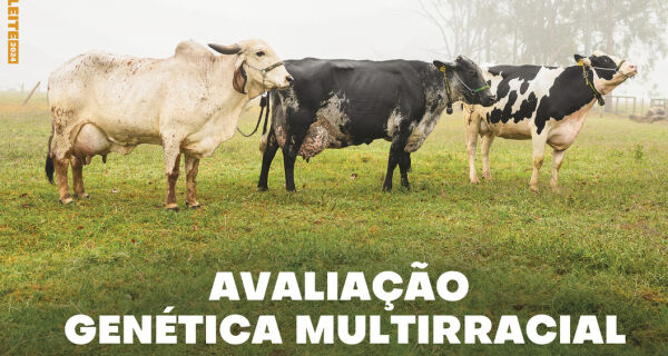 Anuário Leite 2024, da Embrapa Gado de Leite, destaca pesquisas e tecnologias 