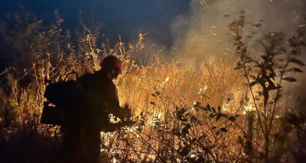 MS chega a período crítico da seca com ação integrada para combater incêndios no Pantanal