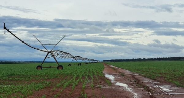 Conselho aprova mais R$ 227 milhões do FCO para avicultura, irrigação e correção do solo em MS