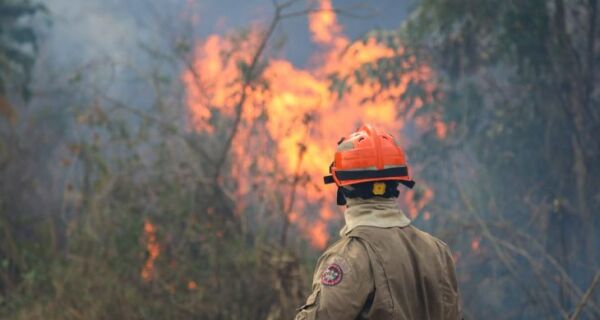 Bombeiros de MS lutam para conter grandes chamas na região do Nabileque