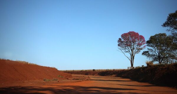 Com baixa umidade do ar e sol, MS tem previsão de semana quente e sem chuva