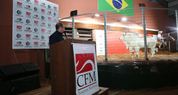 26&ordm; Megaleilão da CFM fatura R$ 5,45 milhões com a comercialização de 394 touros Nelore