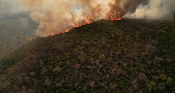 MS tem situação climática extrema e incêndios florestais em todos os biomas