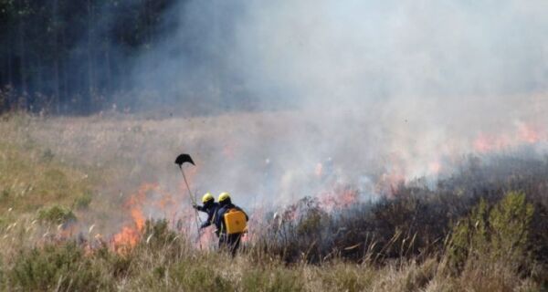 Bombeiros de SC também auxiliarão equipes de MS no combate ao fogo no Pantanal