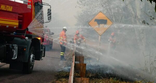 Chuva de 20 mm chega a várias regiões do Pantanal e ajuda a controlar incêndios florestais em MS